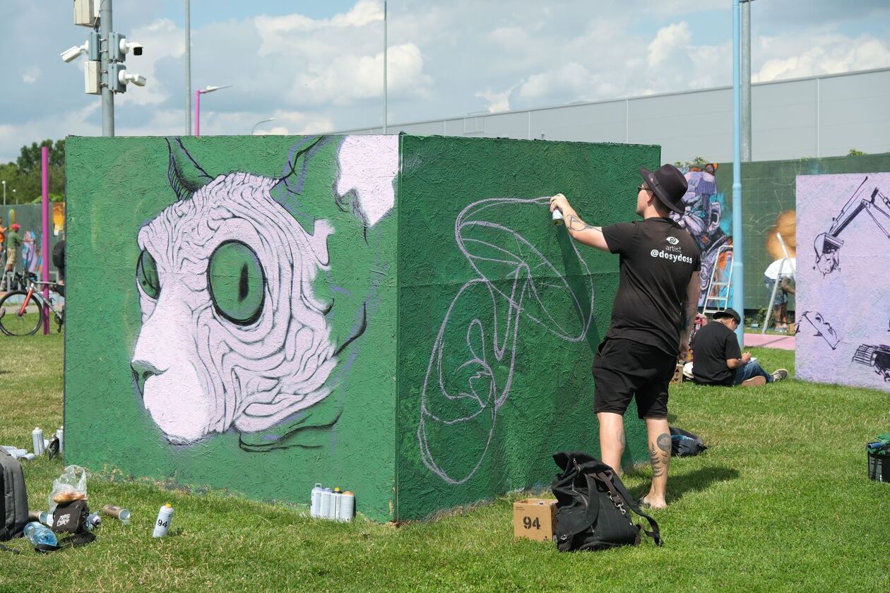 Festiwal urban art Meeting of Styles Polska Lublin - Autor: DW