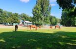 Stadnina w Janowie Podlaskim  (zdjęcie 2)