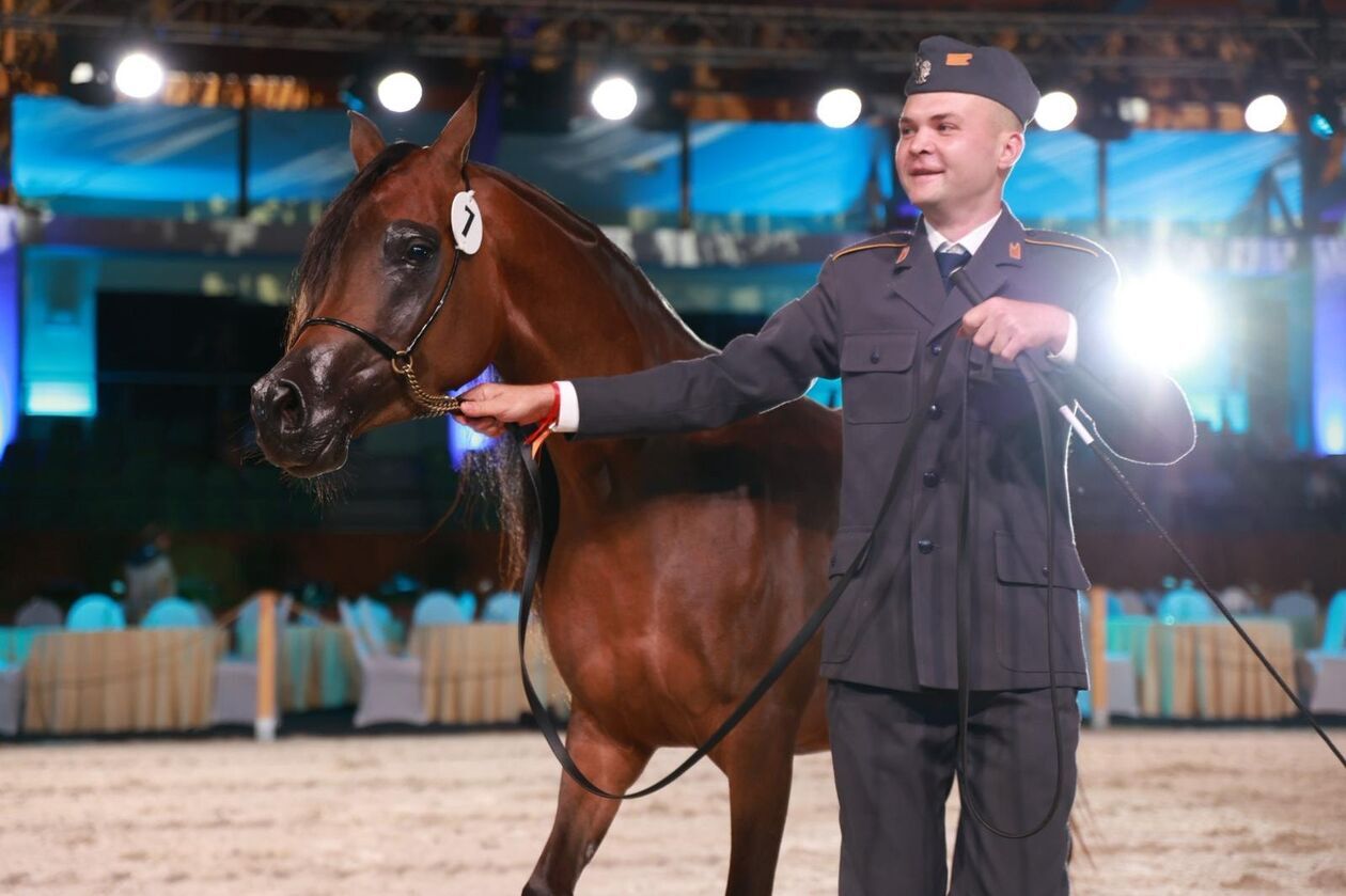  Dni Konia Arabskiego w Janowie Podlaskim  (zdjęcie 9) - Autor: KOWR, Ministerstwo Rolnictwa, EB