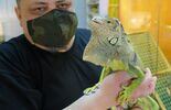 Dzień otwarty w Schronisku dla Bezdomnych Zwierząt w Lublinie (zdjęcie 4)