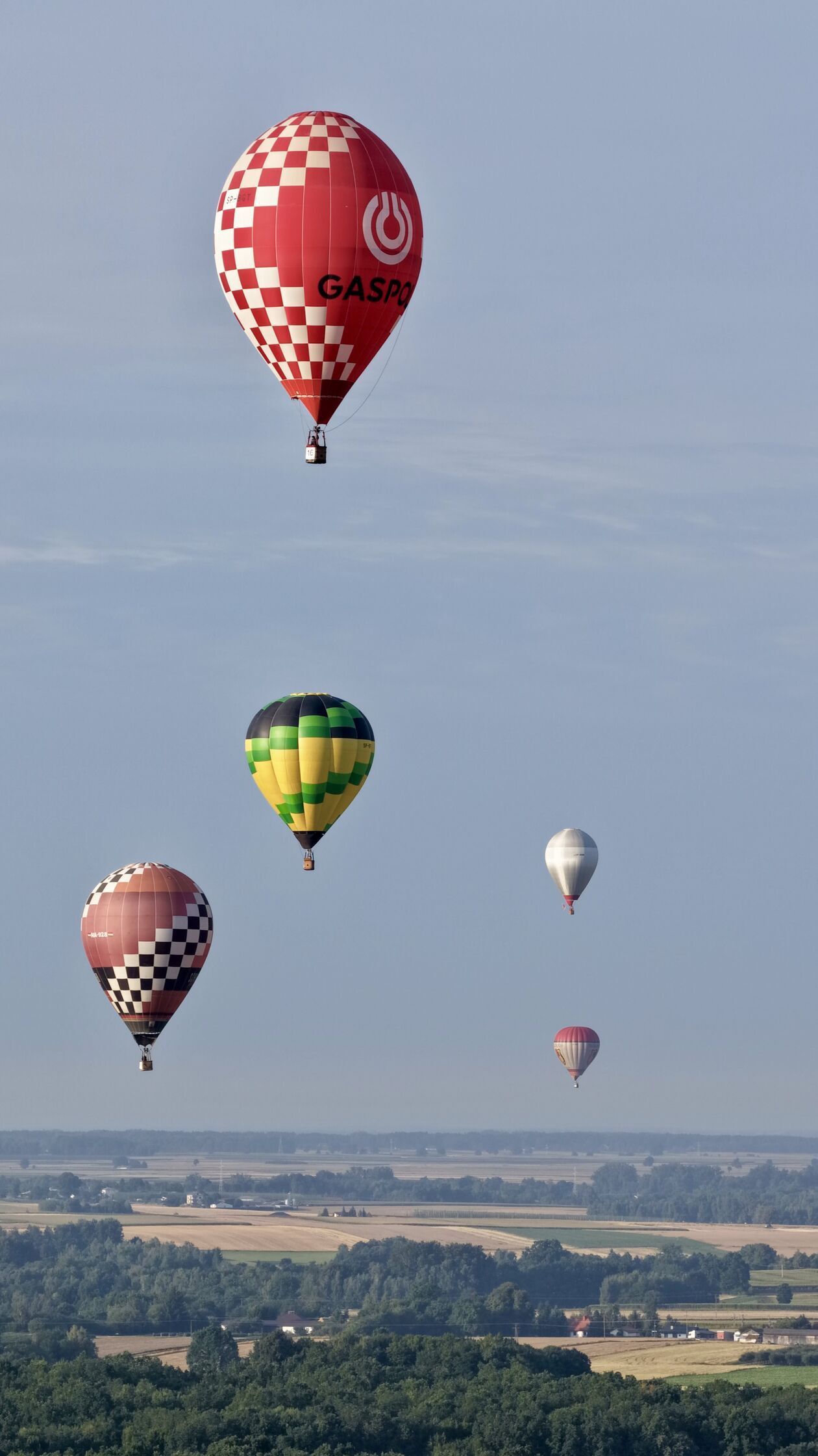  b47eec8605e9685768e27a23bc1702ad.jpg