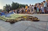 0dab864e6b441788916c194f9f92b074.jpg