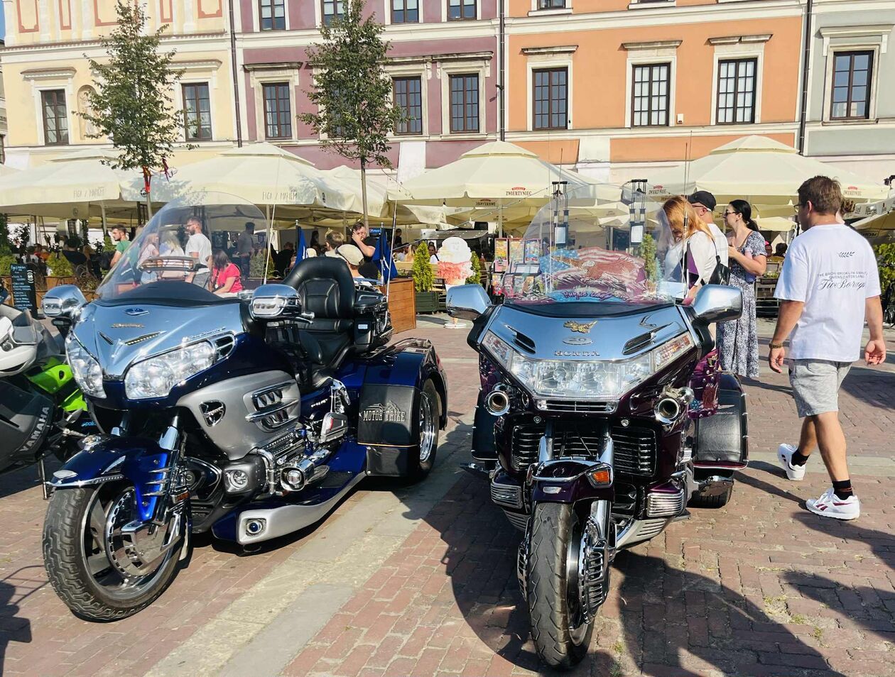  Zamość na okrągło  (zdjęcie 12) - Autor: Anna Szewc