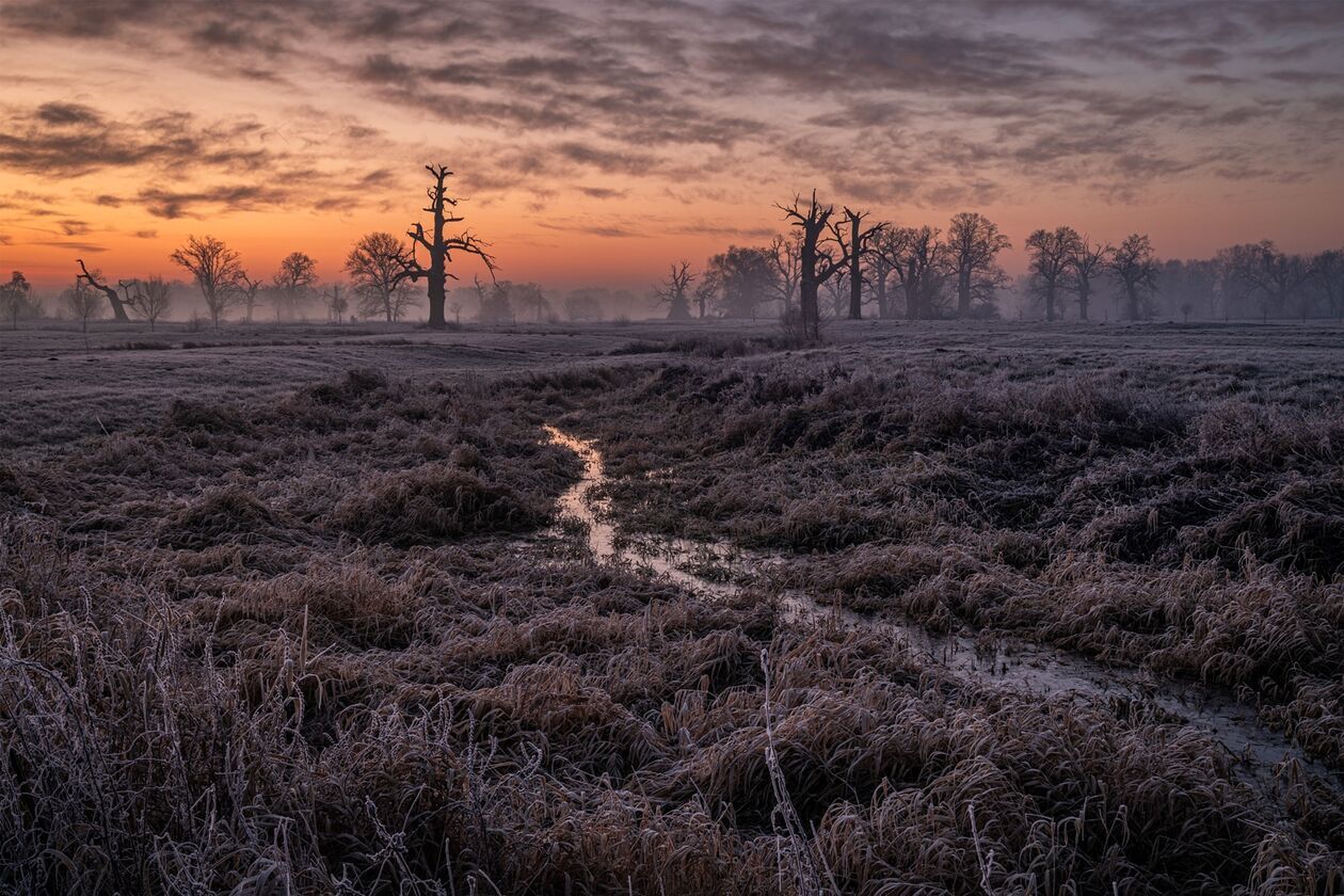 Najciekawsze prace XI Zamojskiego Przeglądu Fotografii