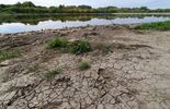 Wisła wysycha. W sierpniu padł rekord (zdjęcie 3)