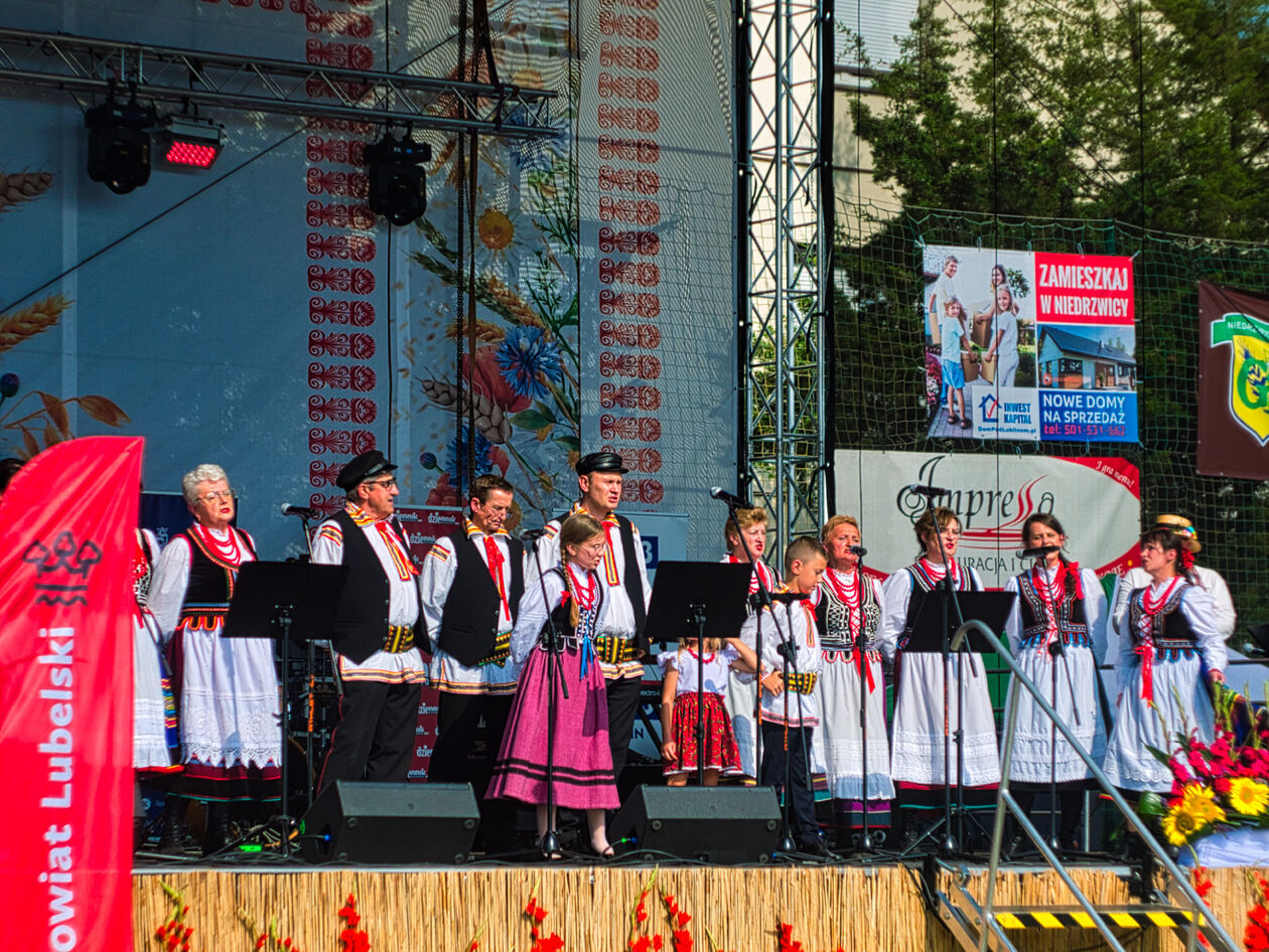  Dożynki powiatowo-gminne w Niedrzwicy Dużej (zdjęcie 24) - Autor: Michał Żyszkiewicz