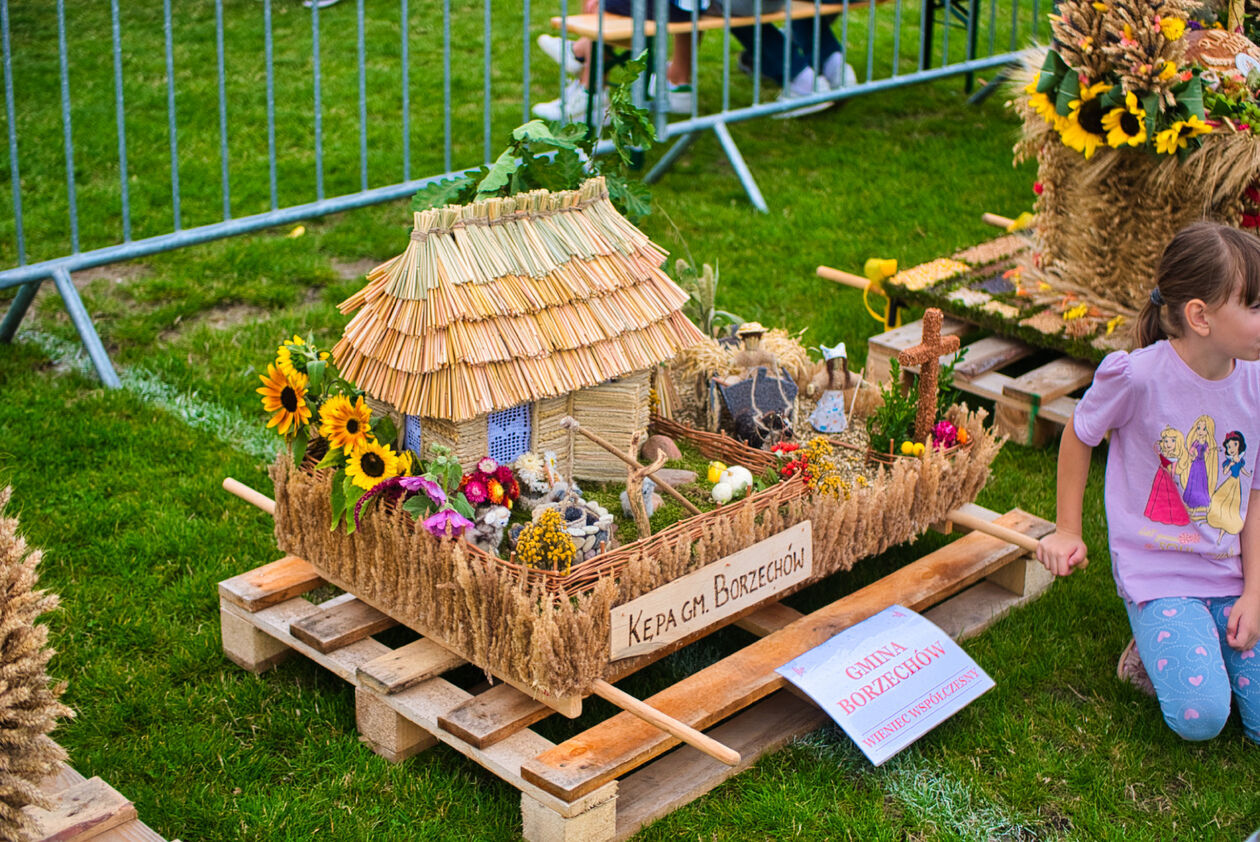  Dożynki powiatowo-gminne w Niedrzwicy Dużej (zdjęcie 19) - Autor: Michał Żyszkiewicz