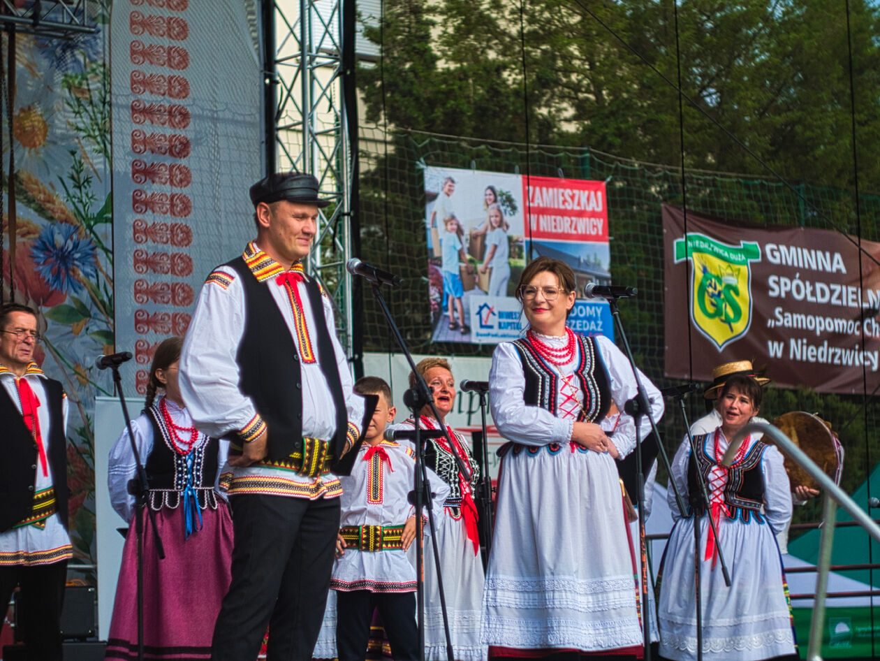  Dożynki powiatowo-gminne w Niedrzwicy Dużej (zdjęcie 21) - Autor: Michał Żyszkiewicz