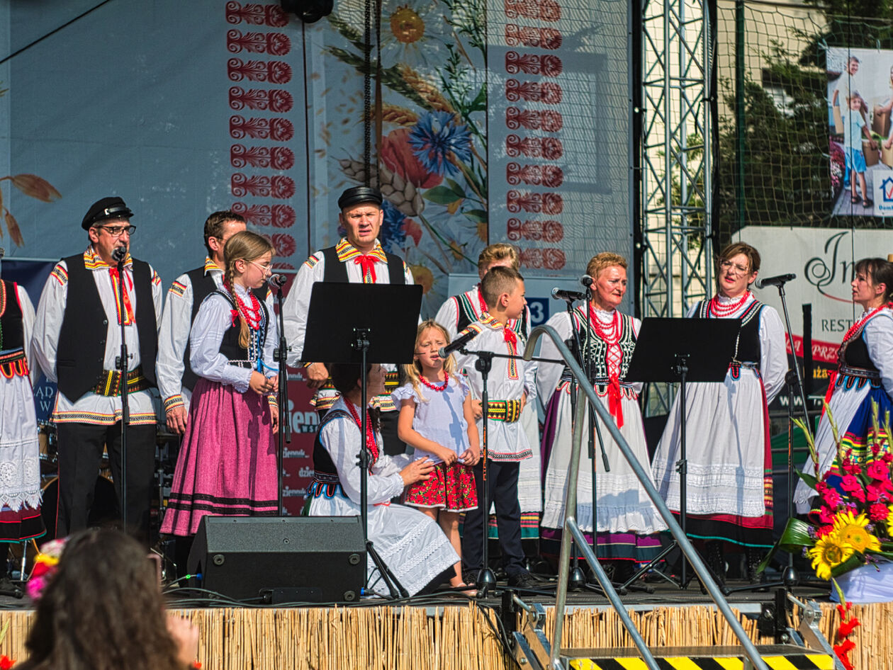  Dożynki powiatowo-gminne w Niedrzwicy Dużej (zdjęcie 31) - Autor: Michał Żyszkiewicz