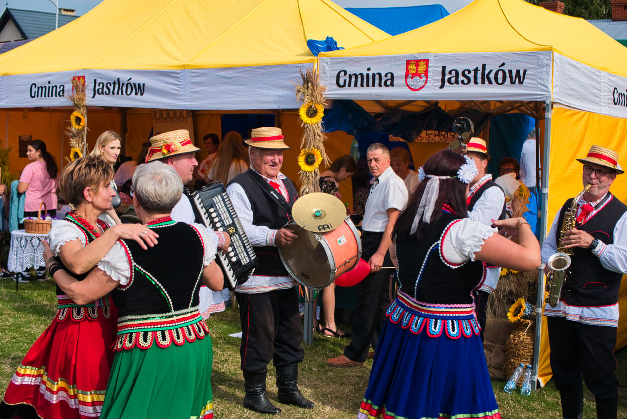  Dożynki powiatowo-gminne w Niedrzwicy Dużej (zdjęcie 6) - Autor: Michał Żyszkiewicz