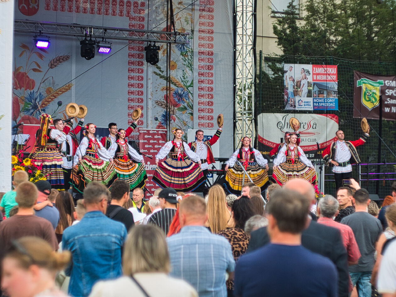  Dożynki powiatowo-gminne w Niedrzwicy Dużej (zdjęcie 53) - Autor: Michał Żyszkiewicz