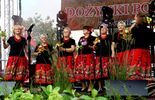 Dożynki powiatu puławskiego w Końskowoli (zdjęcie 4)