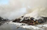 Dogaszenie pożaru w Bełżycach (zdjęcie 5)