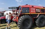 Piknik naukowy w Depułtyczach Królewskich (zdjęcie 4)