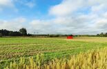 Czosnówka pod Białą Podlaską - tutaj spadł dron (zdjęcie 3)