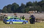 WOHYŃ MIEJSCE UPADKU ROSYJSKIEGO DRONA (zdjęcie 5)
