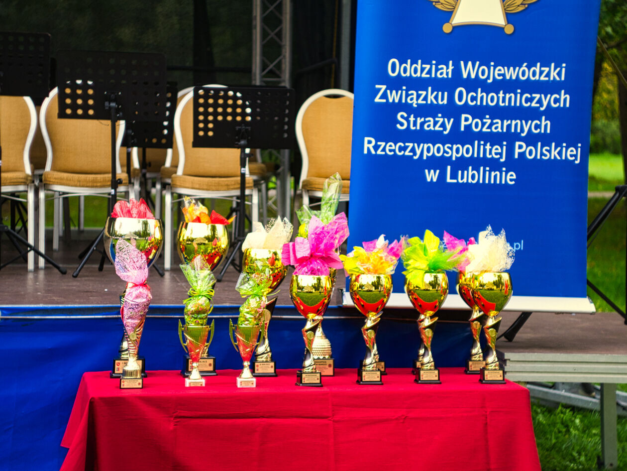  XXXIX Wojewódzki Przegląd Orkiestr Dętych OSP w Nałęczowie (zdjęcie 15) - Autor: Michał Żyszkiewicz