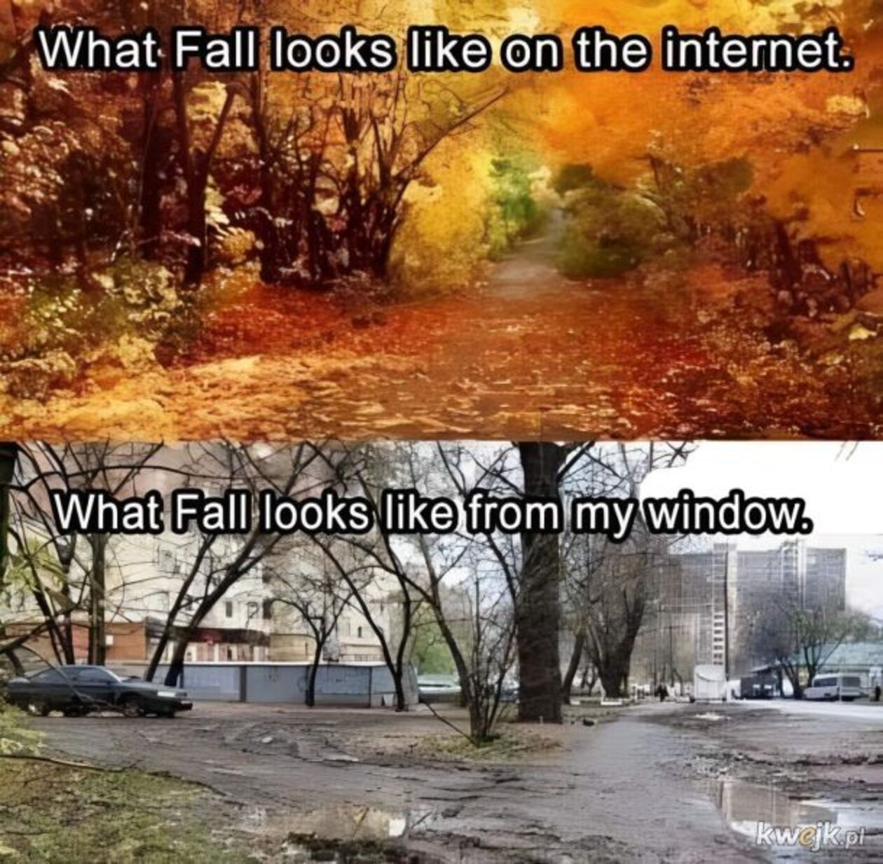  657f918d974c274800cc4a5e404df15e.jpg