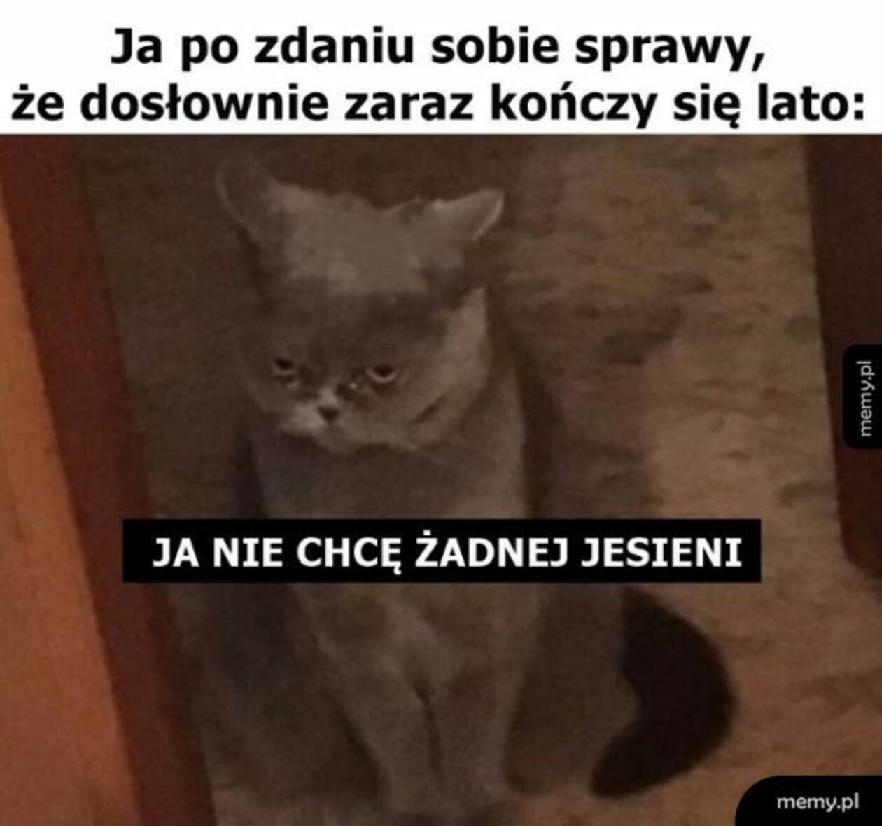  7a0f59ff0183d211f04c90c2aa48c849.jpg
