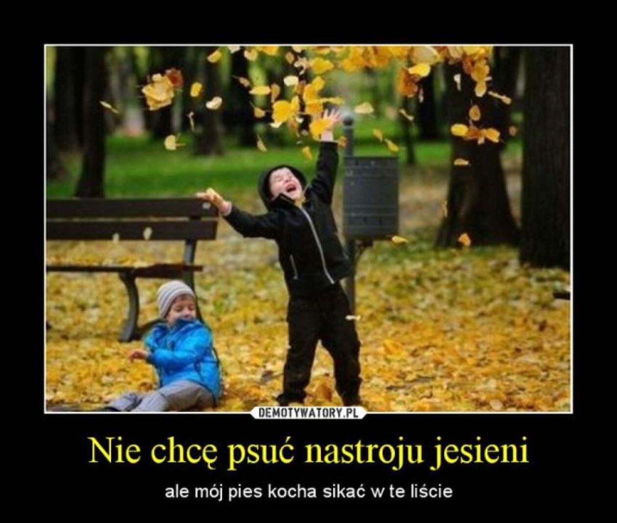  a85daaf800ea4a9ab1856561166f619c.jpg