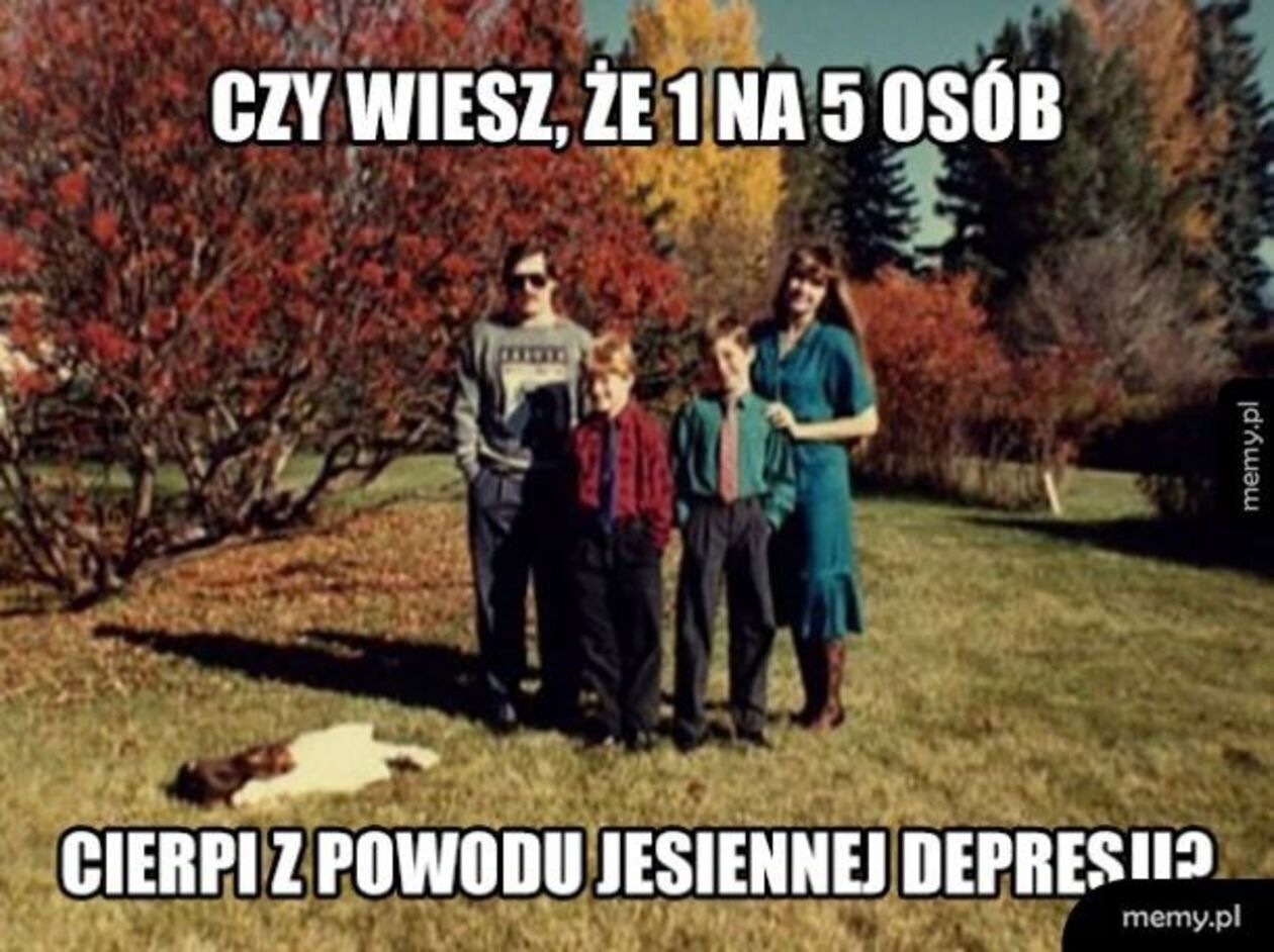  c5ba3e555a64d0b71c378077cc7891db.jpg