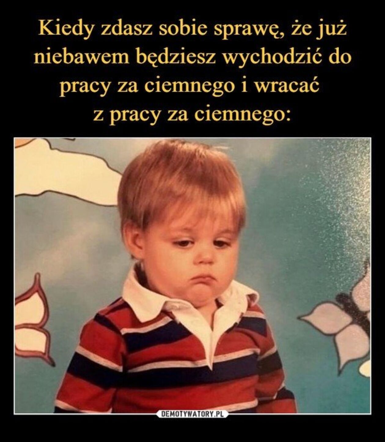  cbb325256a4fb32af3ef42053f785533.jpg