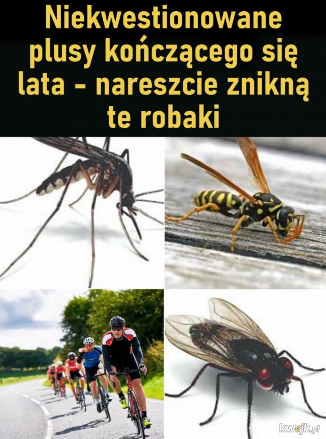  e09ba309928912a1324a60a2a0e1a43d.jpg