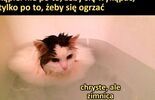 f506cf3bfabb7e1d4dfcf172c4246115.jpg