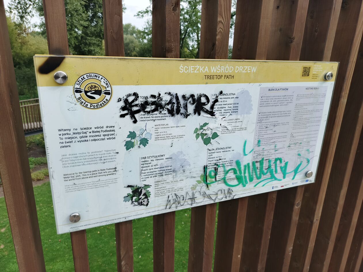 Zniszczenia w Małpim Gaju w Białej Podlaskiej - Autor: czytelnik