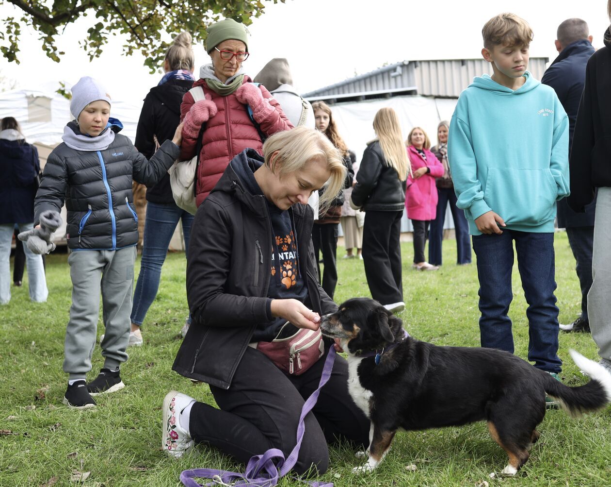  Dzień otwarty w schronisku dla bezdomnych zwierząt  (zdjęcie 7) - Autor: WD