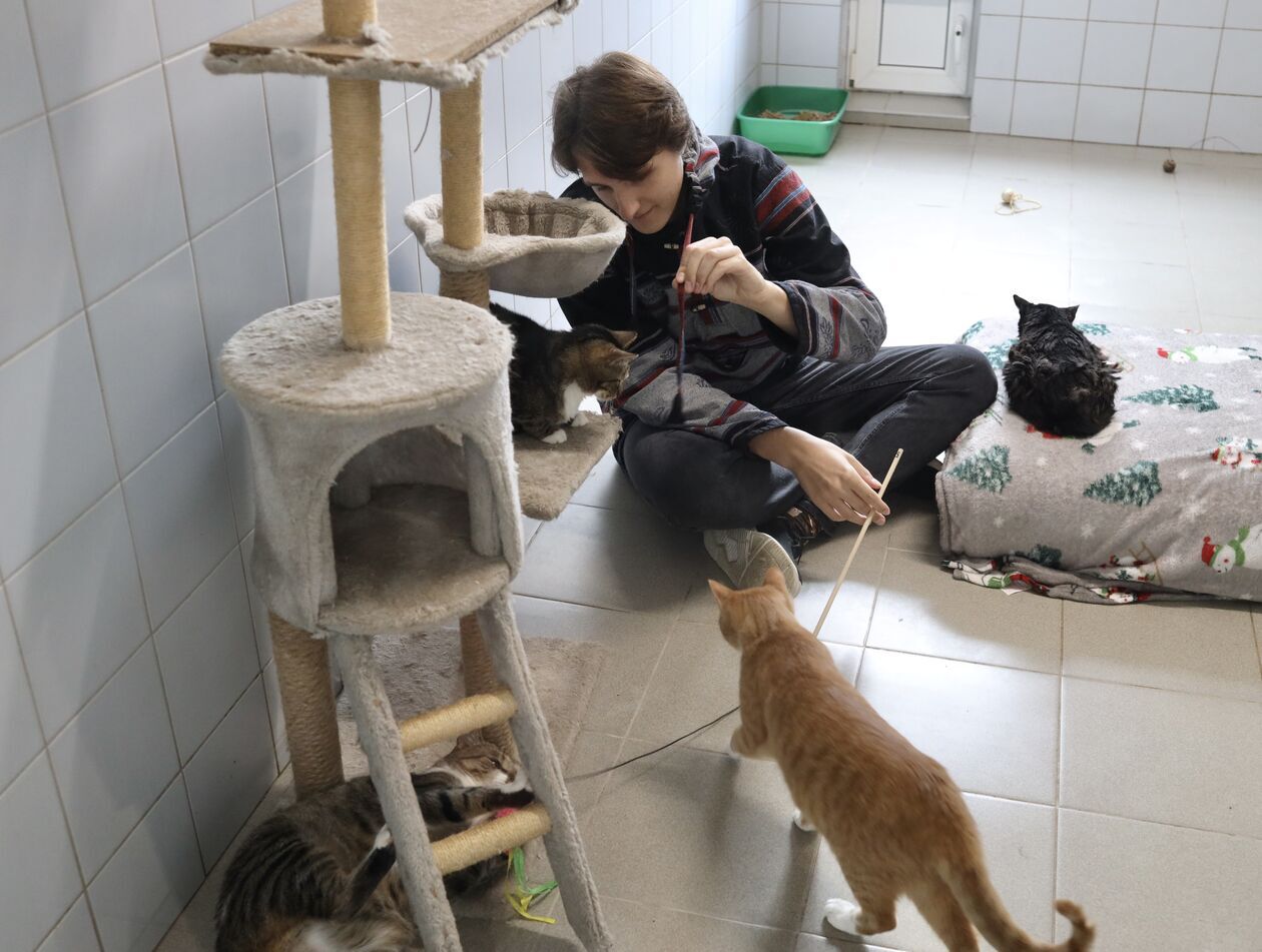  Dzień otwarty w schronisku dla bezdomnych zwierząt  (zdjęcie 9) - Autor: WD