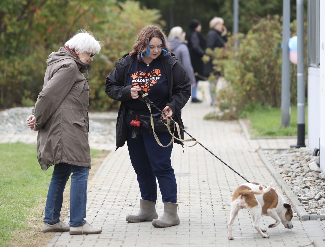  Dzień otwarty w schronisku dla bezdomnych zwierząt   - Autor: WD