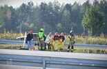 Symulacja wypadku masowego na A2 (zdjęcie 2)