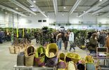 Festiwal Roślin w Targach Lublin (zdjęcie 2)