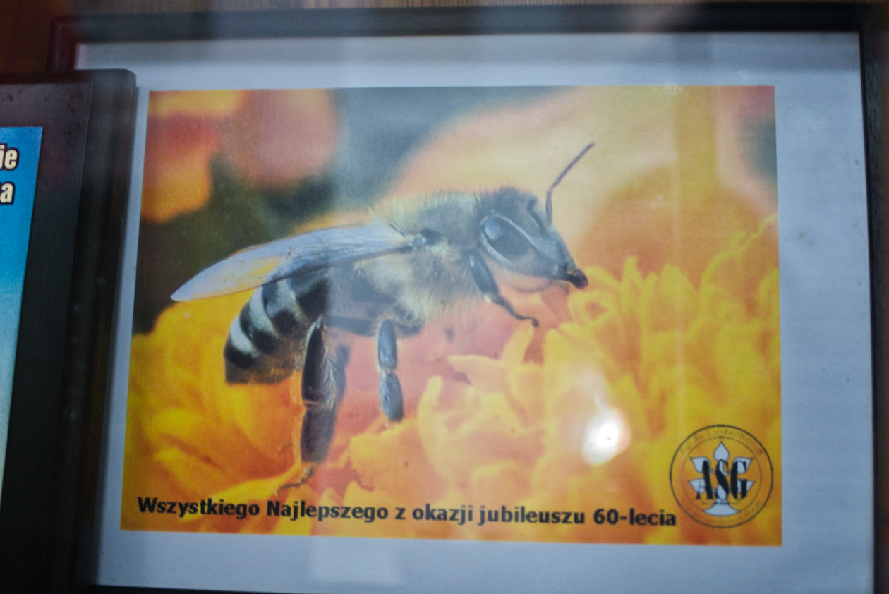  Obchody 80-lecia Technikum Pszczelarskiego w Pszczelej Woli (zdjęcie 7) - Autor: Michał Żyszkiewicz