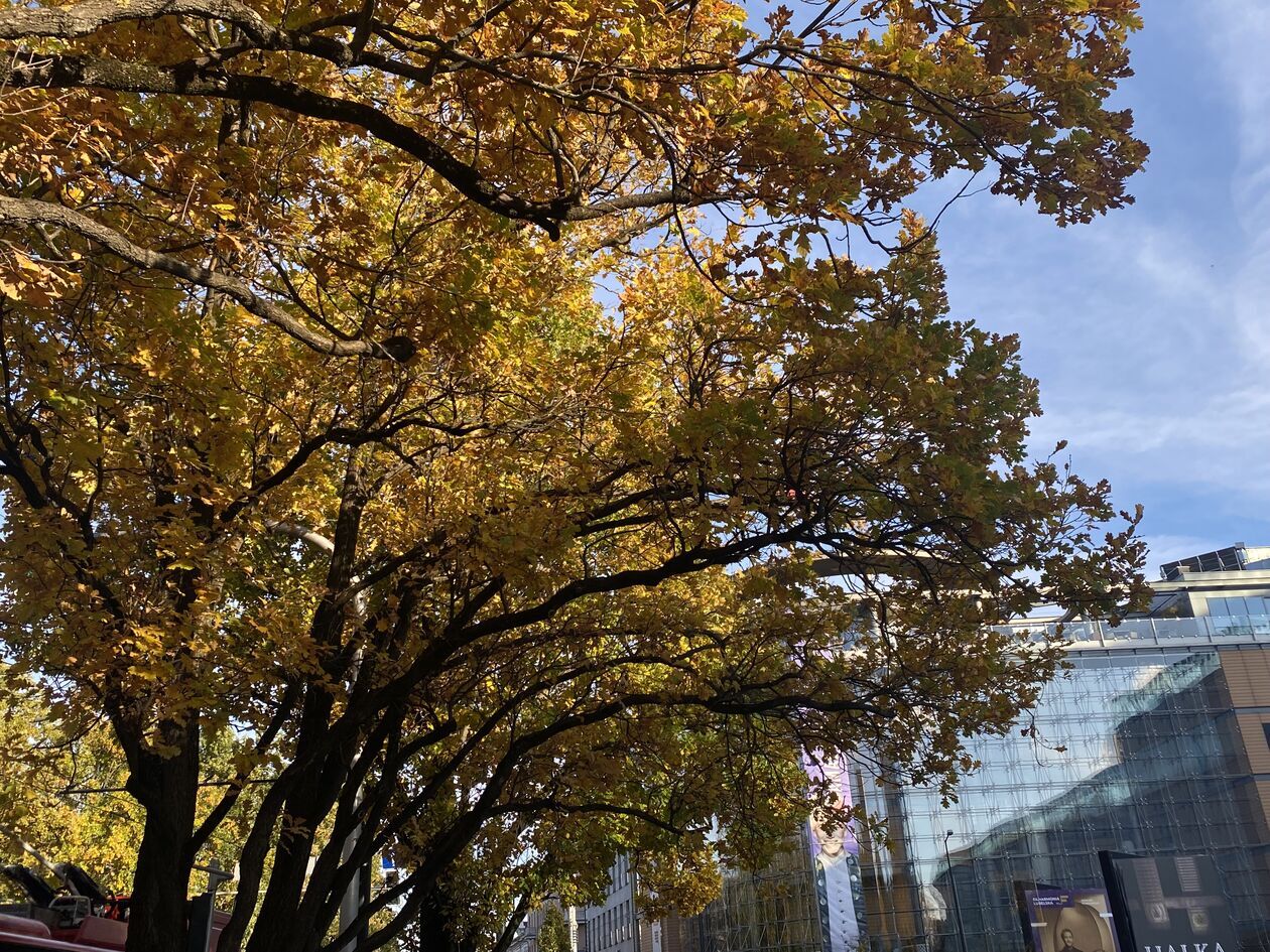  aa8735c3abddc5af5b0610555ef225c5.jpeg