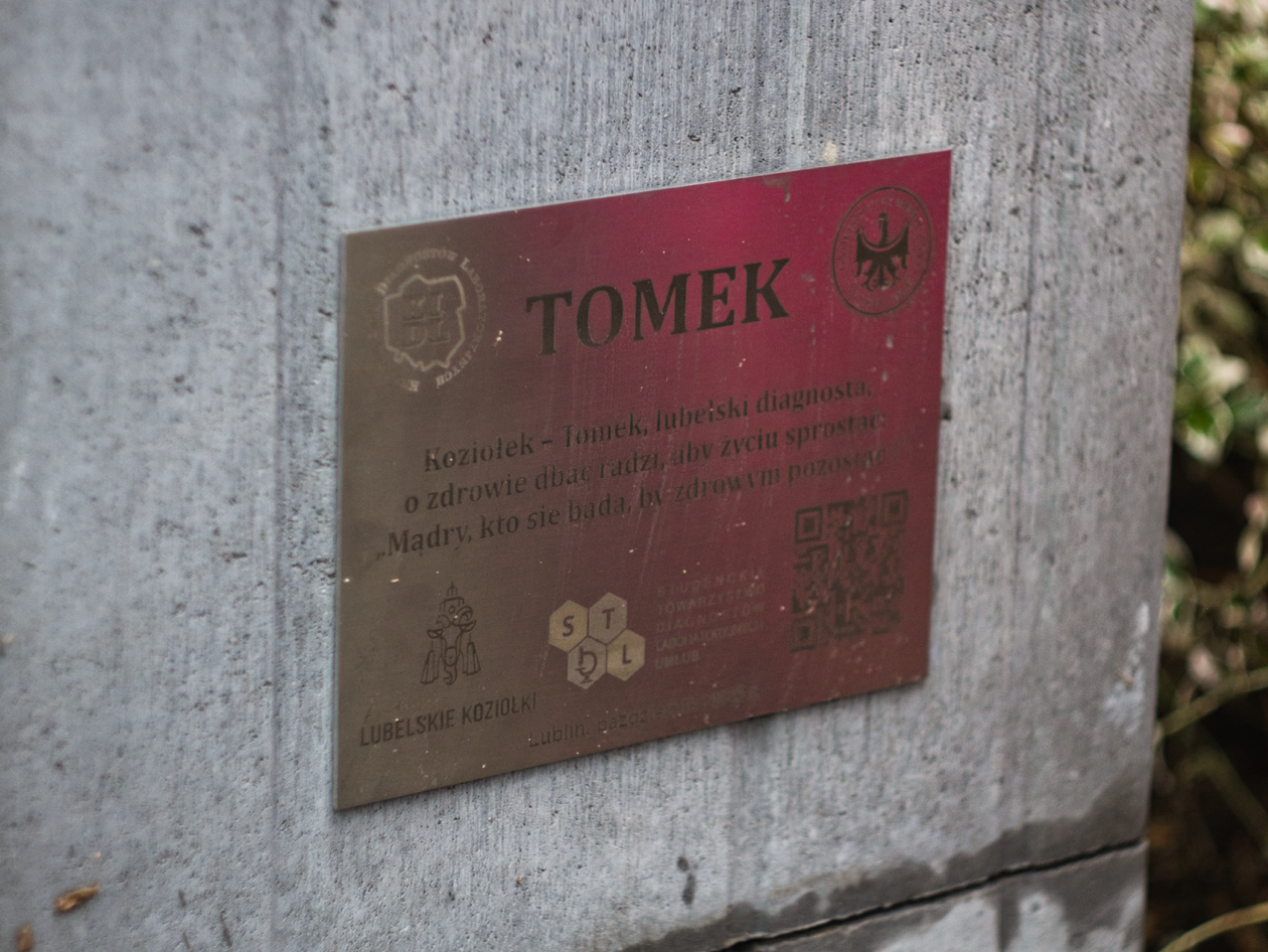  Odsłonięcie Koziołka Tomka pod Uniwersytetem Medycznym (zdjęcie 4) - Autor: Michał Żyszkiewicz