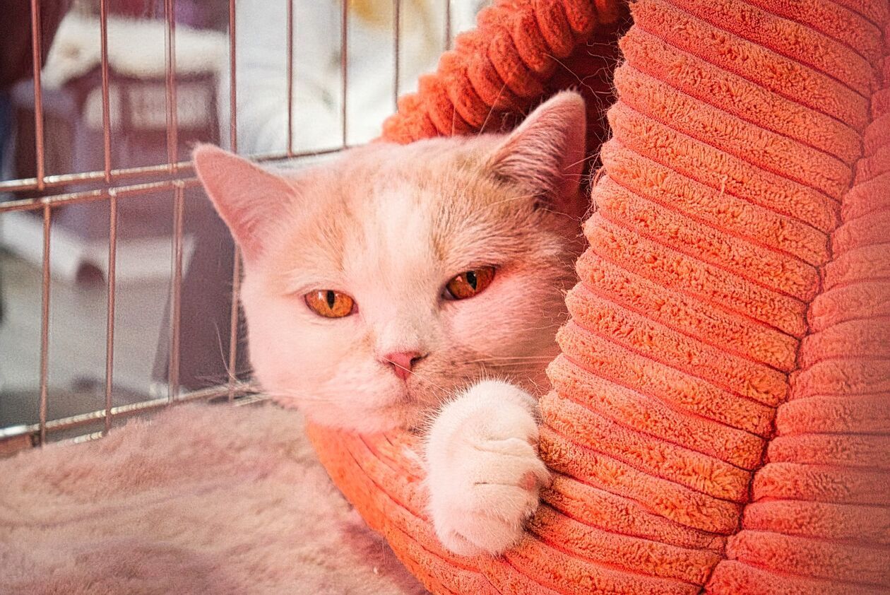 Zoopark 2025 w Targach Lublin