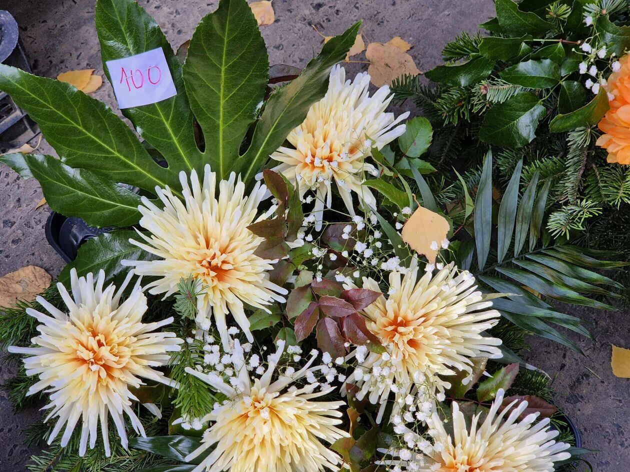  Cmentarz od ulicy Białej - przygotowania do Wszystkich Świętych (zdjęcie 8) - Autor: DW