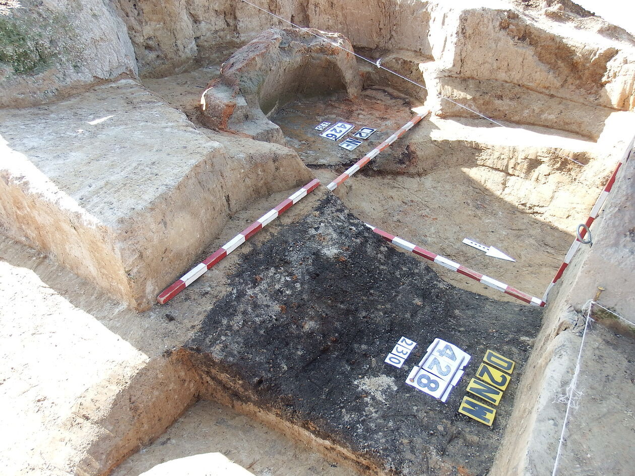  Prace archeologiczne pod Arkadami (zdjęcie 3) - Autor: dr Rafał Niedźwiadek - Insytut Archeologii UMCS