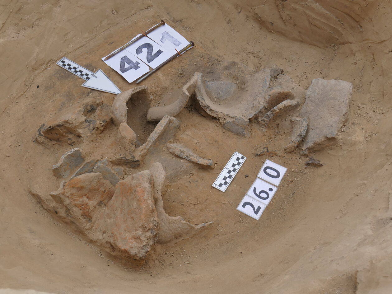  Prace archeologiczne pod Arkadami (zdjęcie 6) - Autor: dr Rafał Niedźwiadek - Insytut Archeologii UMCS