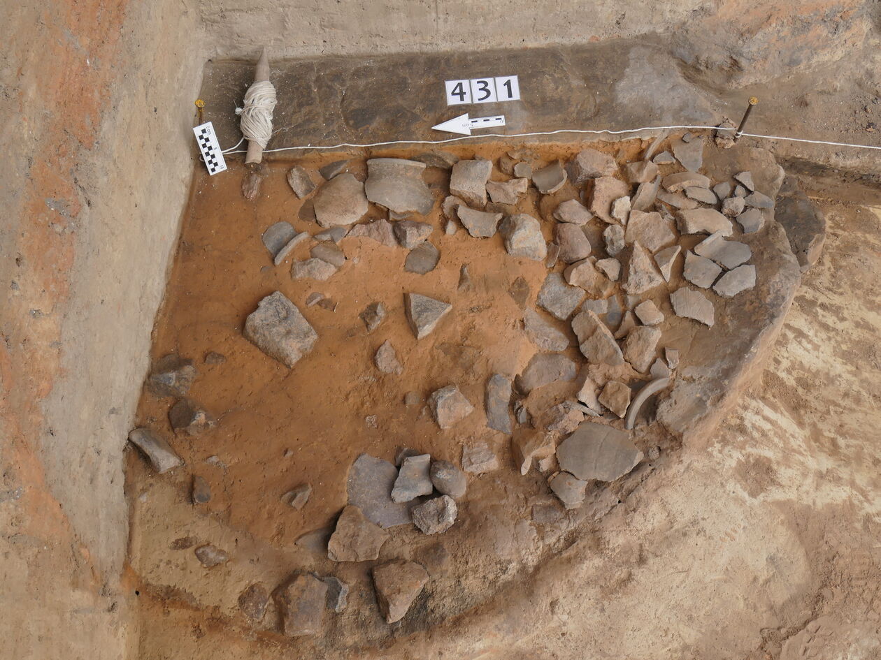  Prace archeologiczne pod Arkadami (zdjęcie 5) - Autor: dr Rafał Niedźwiadek - Insytut Archeologii UMCS