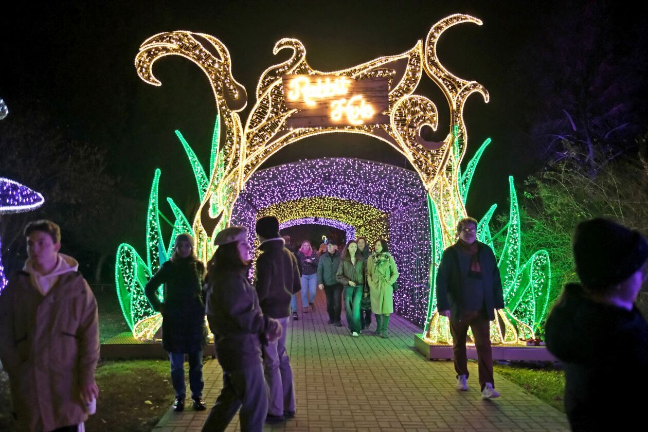  Alicja i biały królik biegają po Lumina Park (zdjęcie 28) - Autor: DW