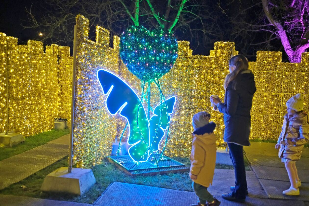  Alicja i biały królik biegają po Lumina Park (zdjęcie 5) - Autor: DW