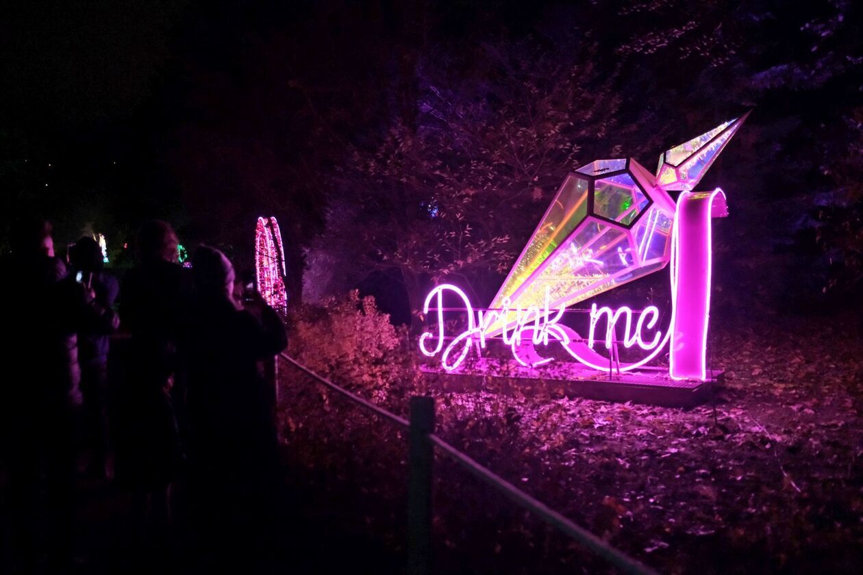  Alicja i biały królik biegają po Lumina Park (zdjęcie 7) - Autor: DW