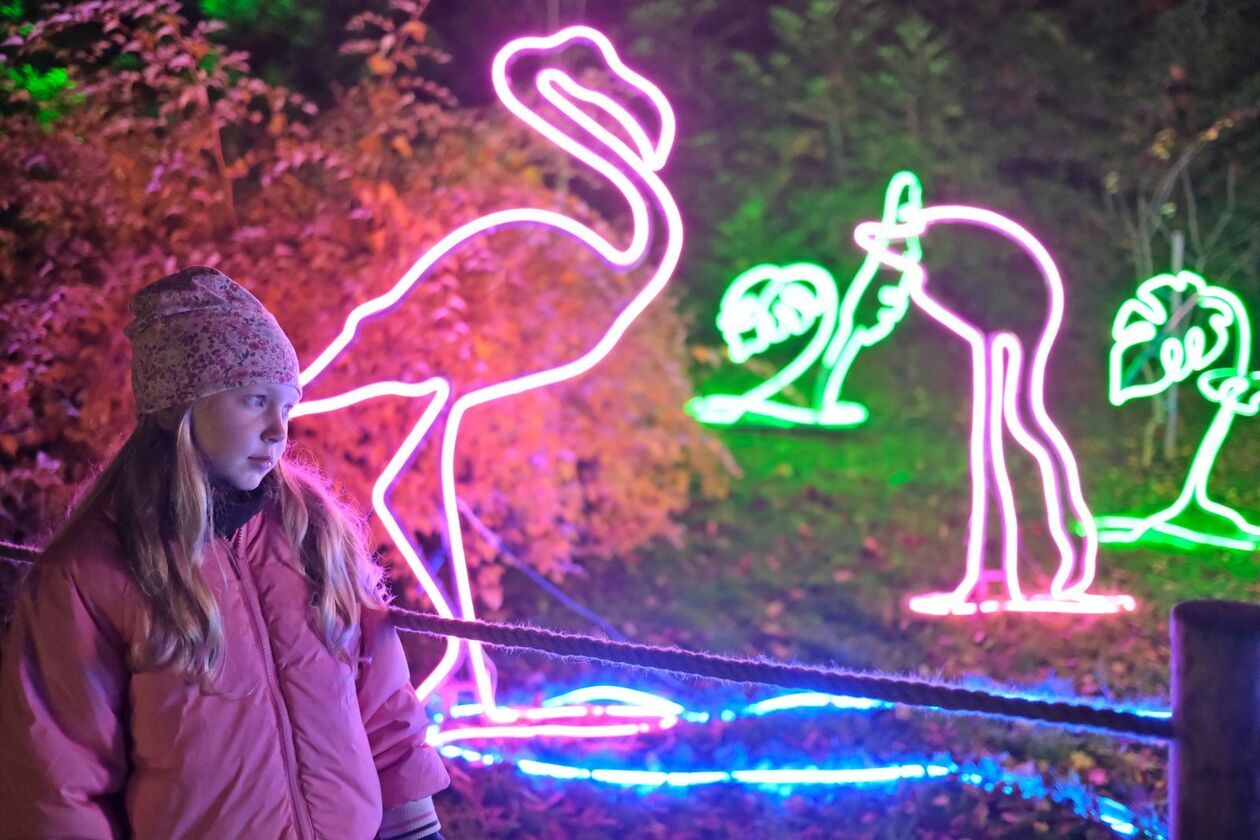  Alicja i biały królik biegają po Lumina Park (zdjęcie 18) - Autor: DW