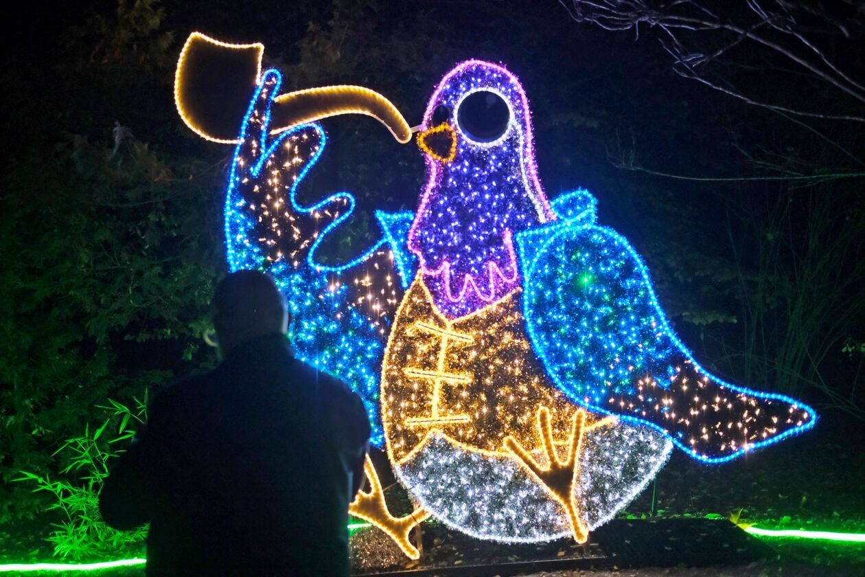  Alicja i biały królik biegają po Lumina Park (zdjęcie 6) - Autor: DW