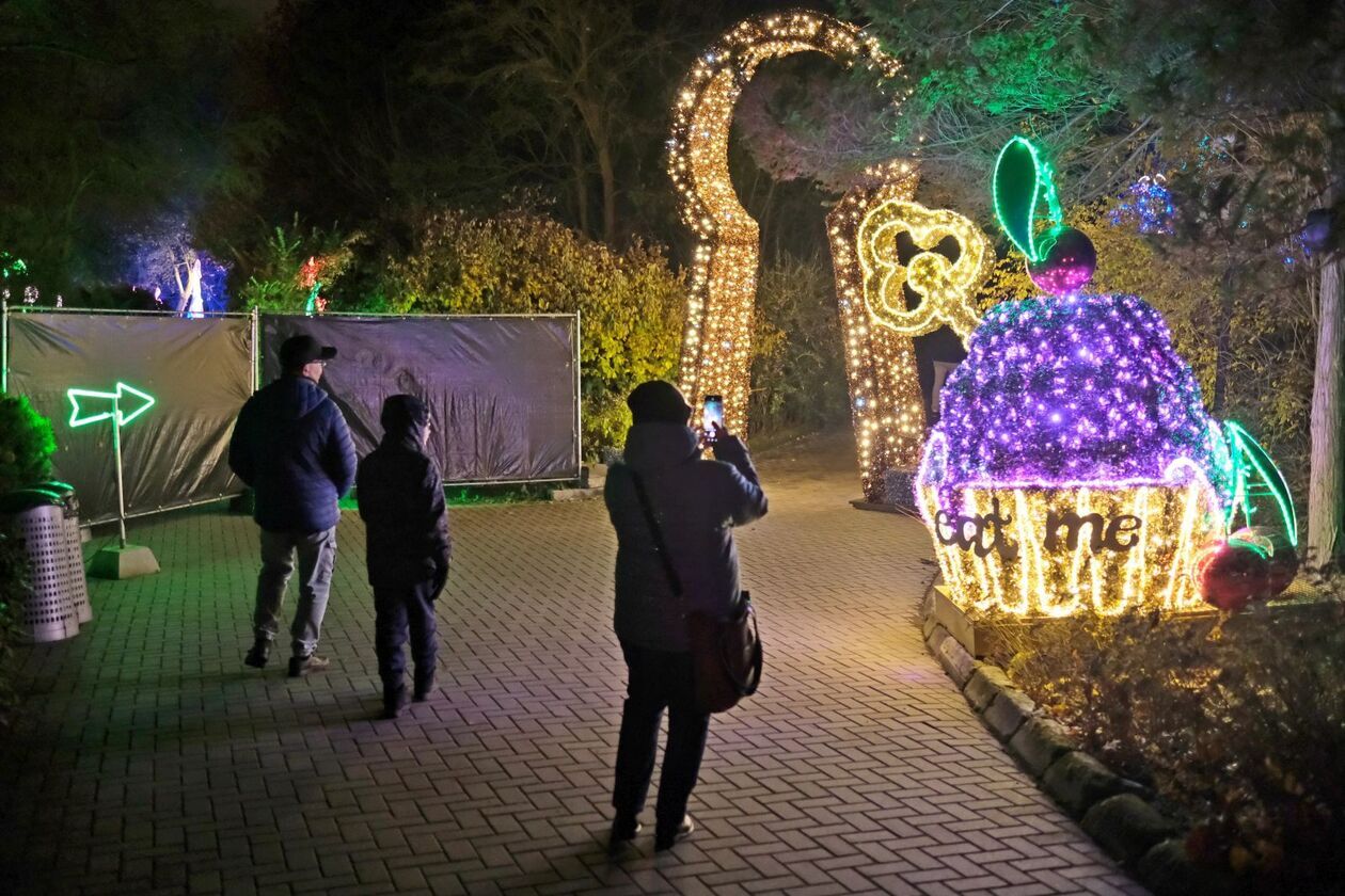  Alicja i biały królik biegają po Lumina Park (zdjęcie 8) - Autor: DW