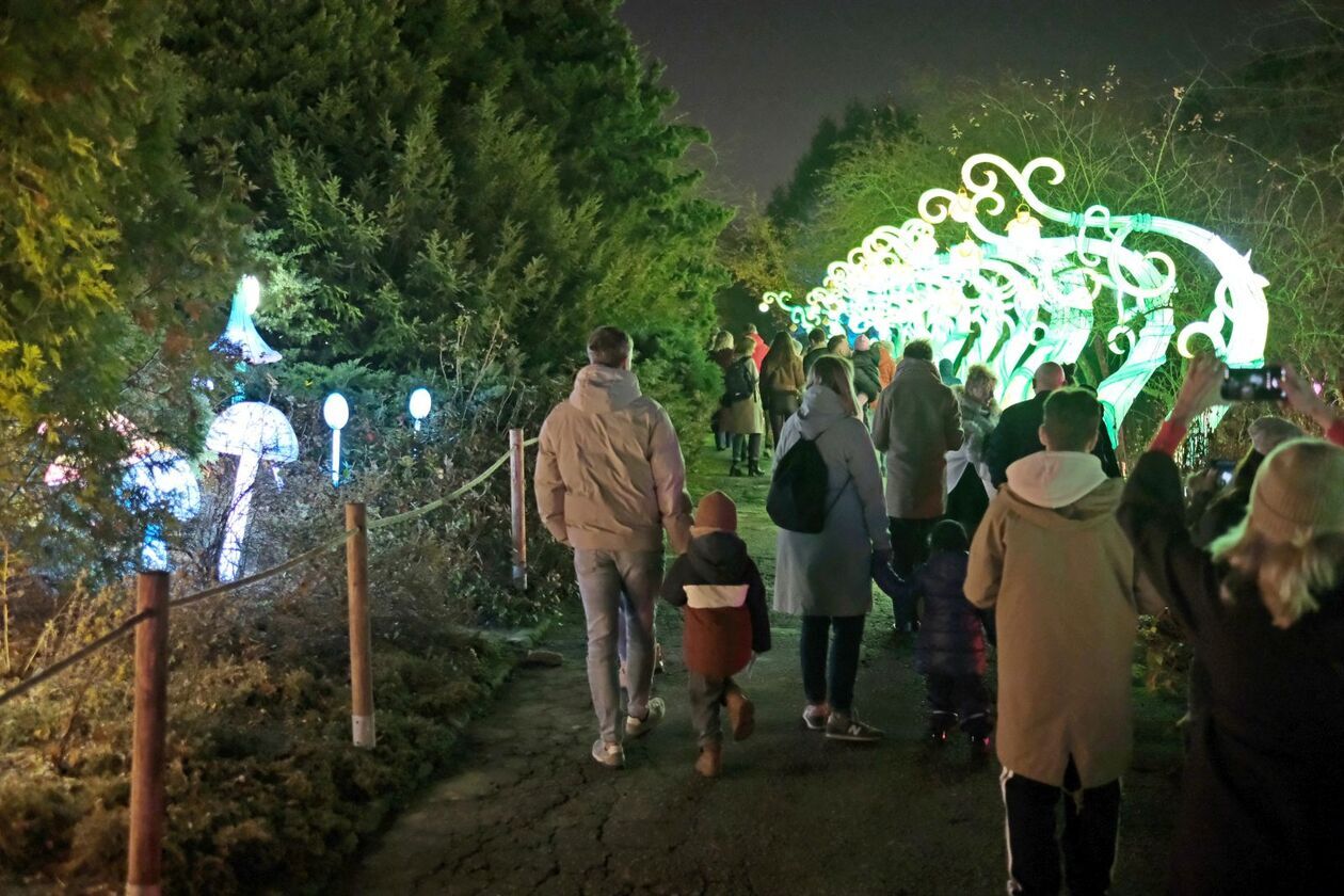  Alicja i biały królik biegają po Lumina Park (zdjęcie 19) - Autor: DW