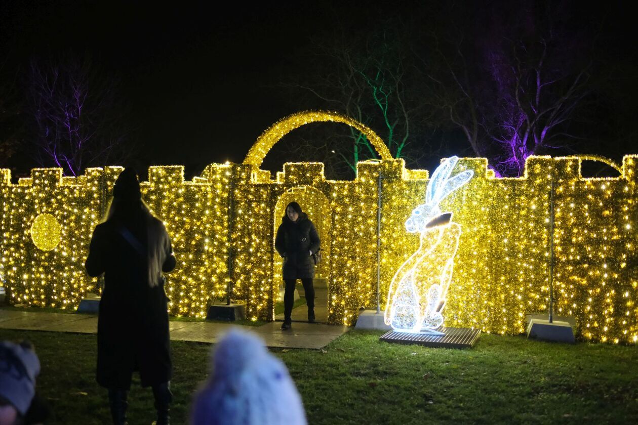  Alicja i biały królik biegają po Lumina Park (zdjęcie 3) - Autor: DW